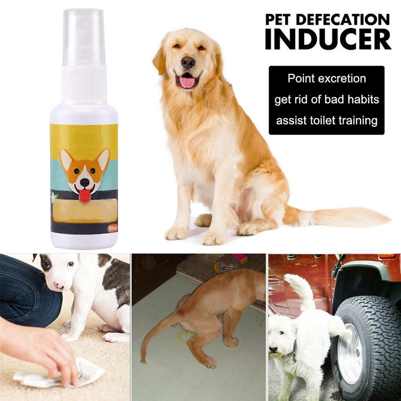 1 adet köpek lazımlık tren spr - Travel Accessories In Train incelemesi ve fiyatı