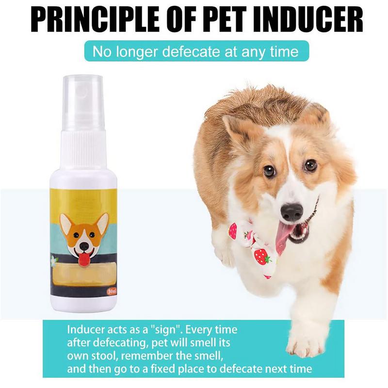 1 adet köpek lazımlık tren spr - Travel Accessories In Train incelemesi ve fiyatı