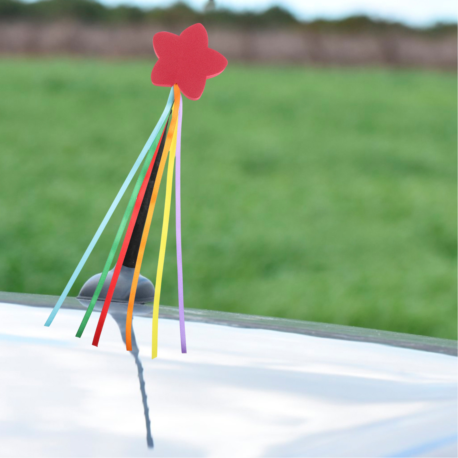 2 Adet Otomotiv Anten Topu Süs - Travel Accessories Car incelemesi ve fiyatı